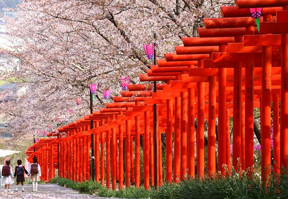 丸高稲荷神社