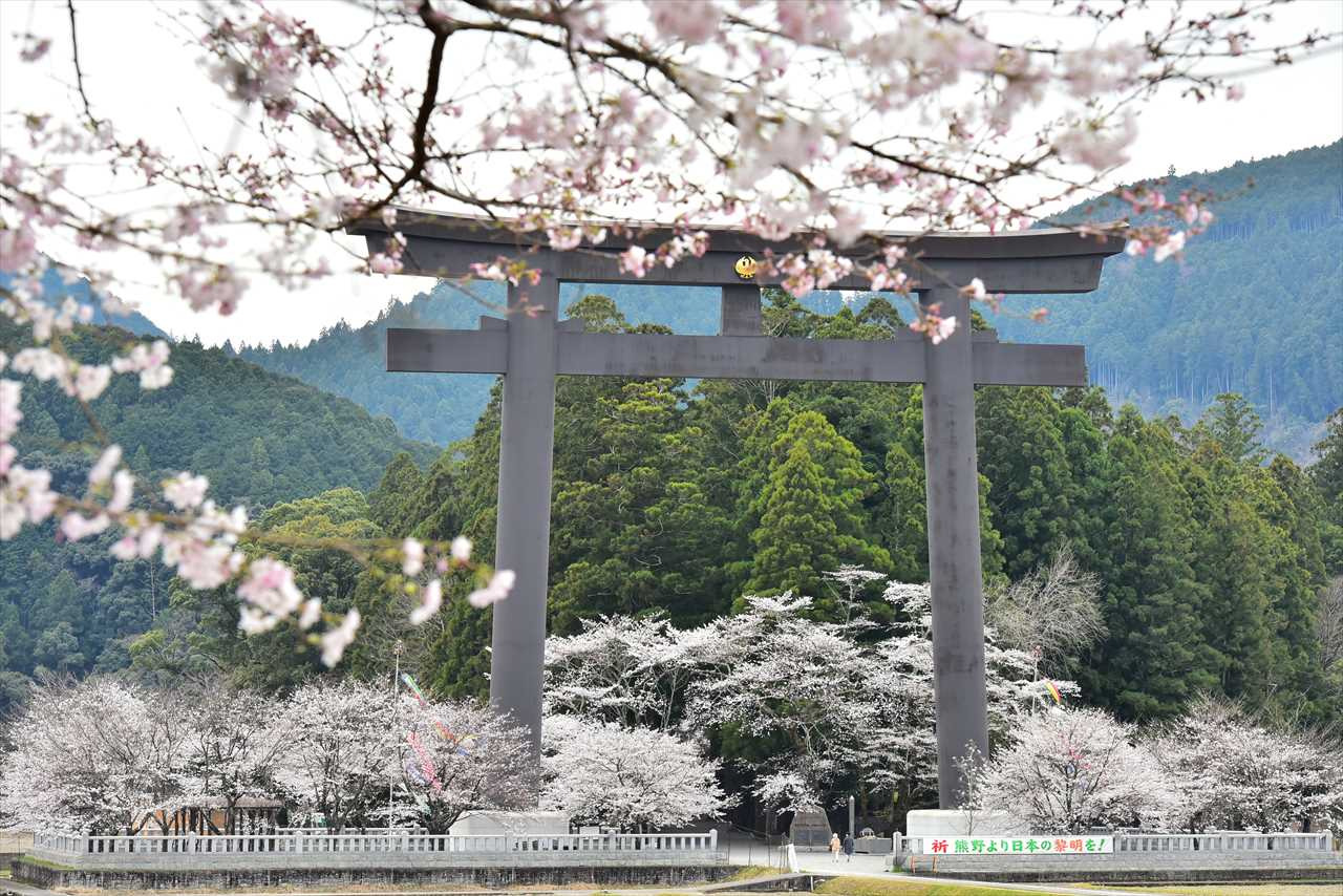 春の熊野 桜巡りの旅
