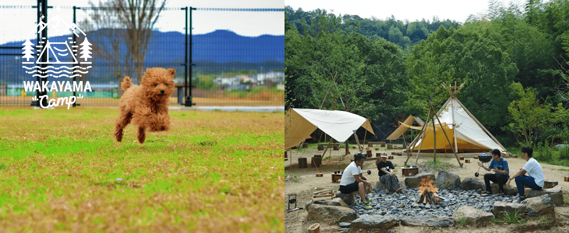 ペットと楽しめる和歌山県のキャンプ場特集！