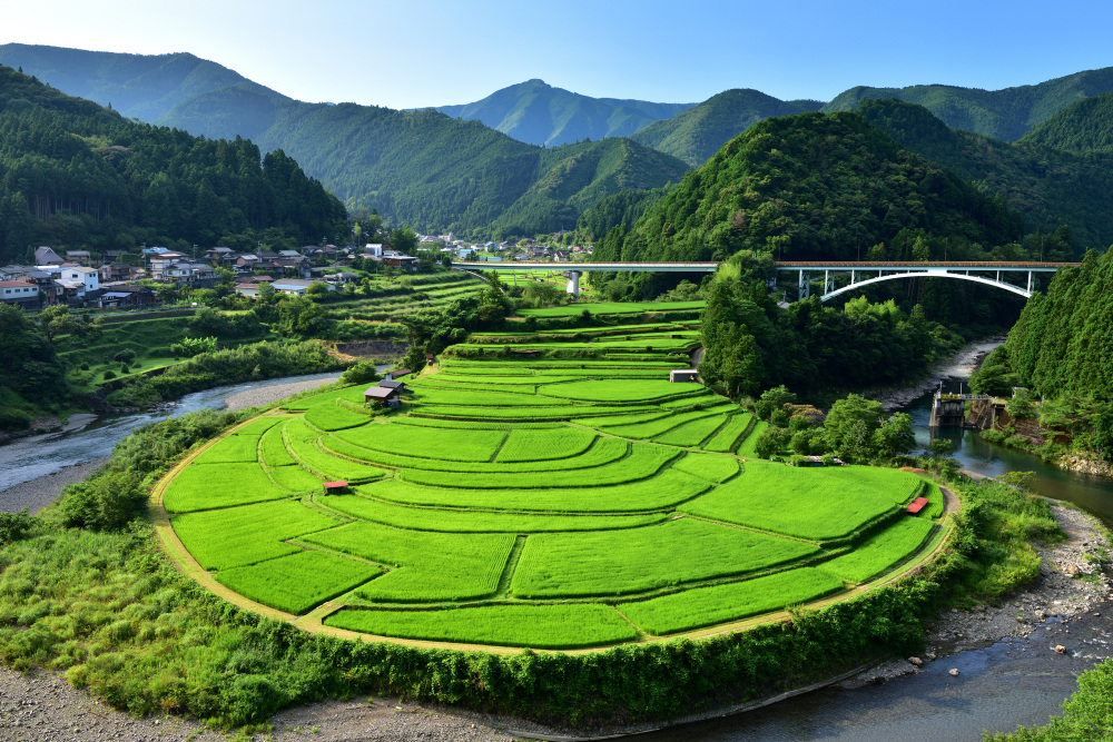 あらぎ島に生石高原など、有田川町の見どころまとめ！おすすめグルメやスポットなどを一挙ご紹介