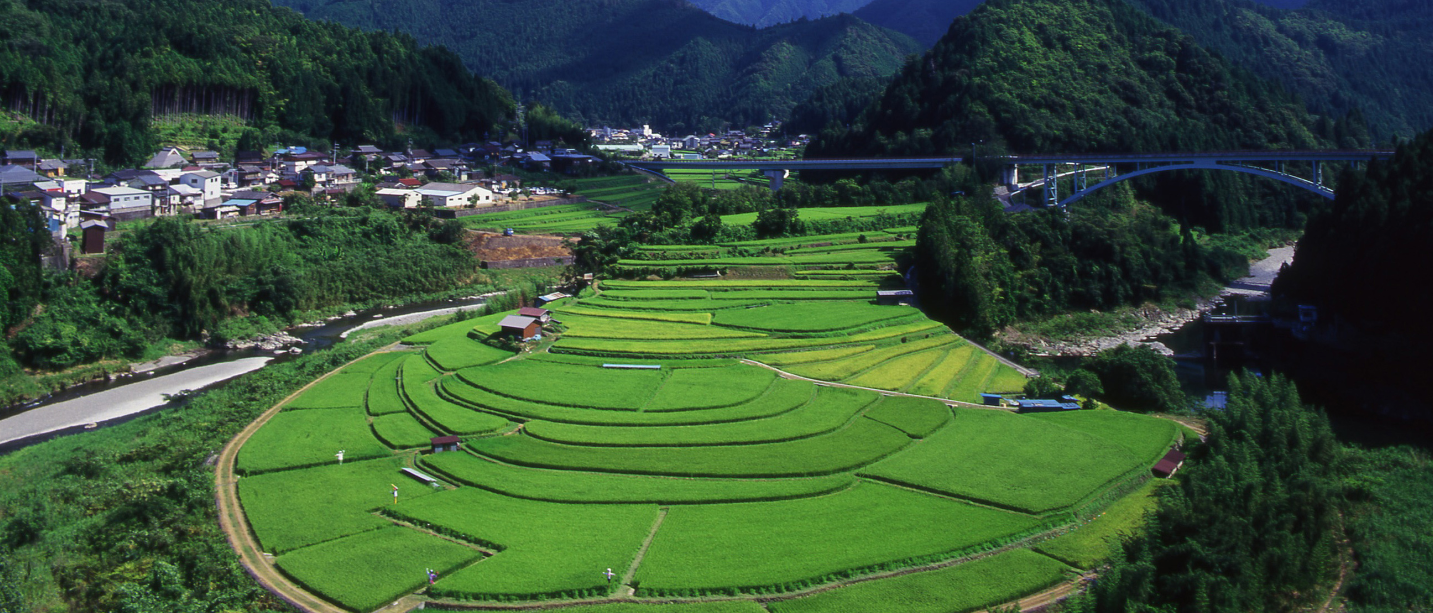 和歌山WEEK - わかやま農業遺産と棚田 ー