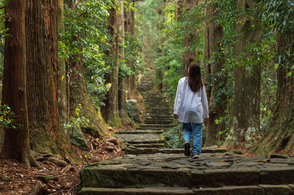 熊野御幸の足跡をたどる旅 ―祈りの道「熊野古道」をゆく―
【熊野御幸ゆかりの御朱印めぐり】