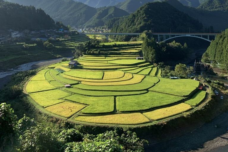2025年9月 和歌山県内のイベント情報まとめ