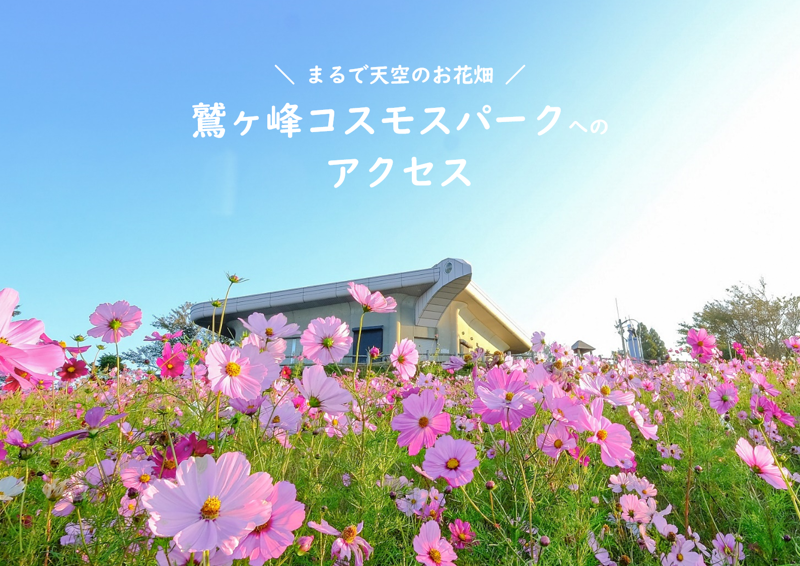 鷲ヶ峰コスモスパークへのアクセス