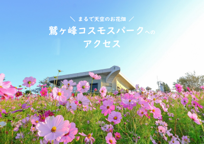 鷲ヶ峰コスモスパークへのアクセス