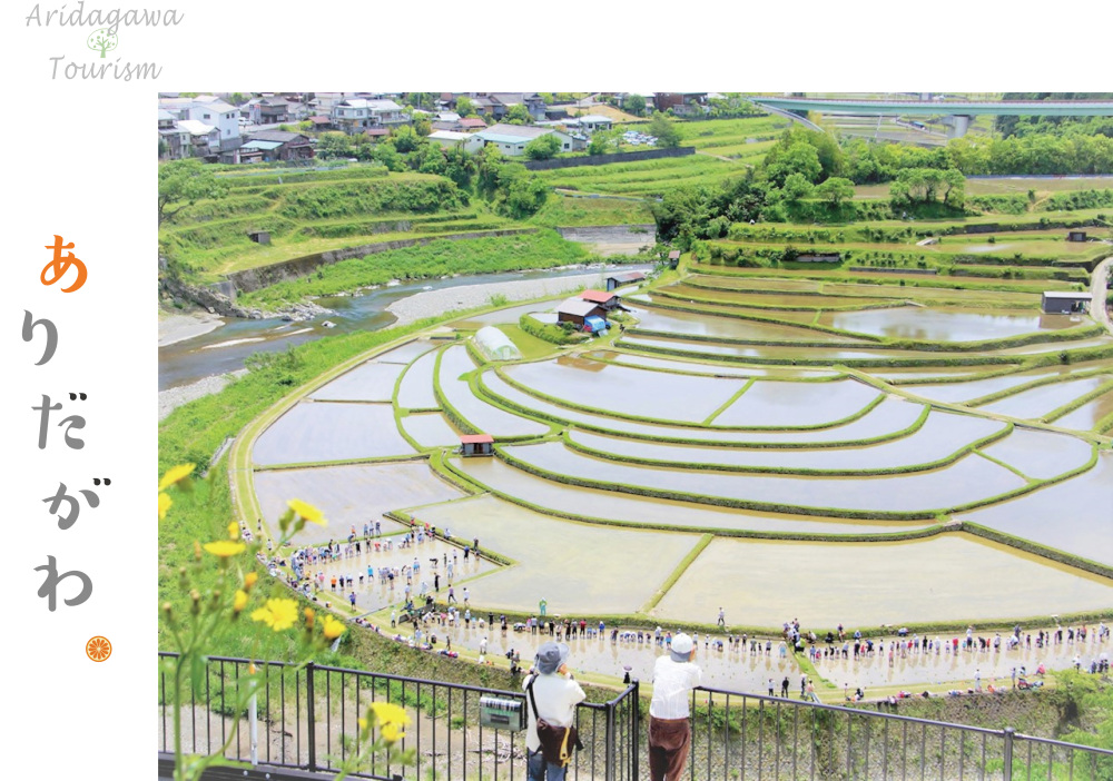 有田川町観光TOPページ