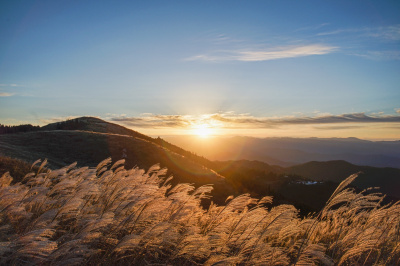 運転に自信のないあなたへ！生石高原へのアクセス