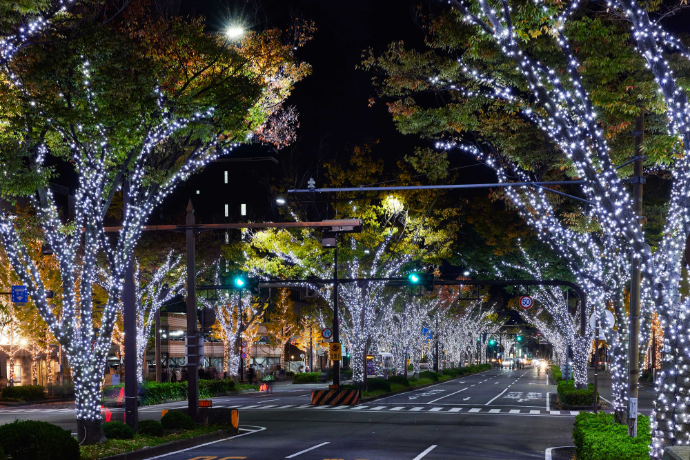 2025年12月　和歌山県内のイベント情報まとめ