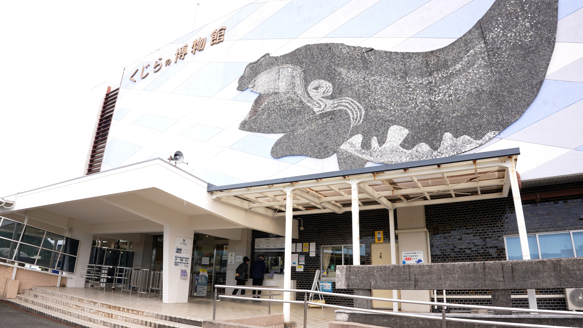 スタッフによる完全ガイド！世界でここだけ!?の博物館の楽しみ方「くじらの博物館」