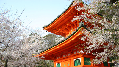 和歌山のおすすめ桜スポット34選