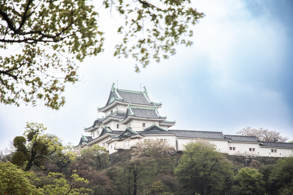 豊臣家ゆかりの和歌山旅！～豊臣家ゆかりのスポット巡りに最適！おすすめ宿３選も～