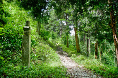 高野山・高野山麓エリアを徹底解説！世界遺産と豊かな自然が息づく橋本市、かつらぎ町、九度山町、高野町の魅力に迫る