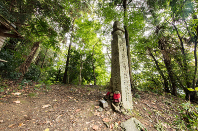 世界遺産・高野参詣道を歩こう！歴史と自然を感じる7つの道。歩き方や服装・持ち物、マナーからアクセスまで一挙ご紹介				