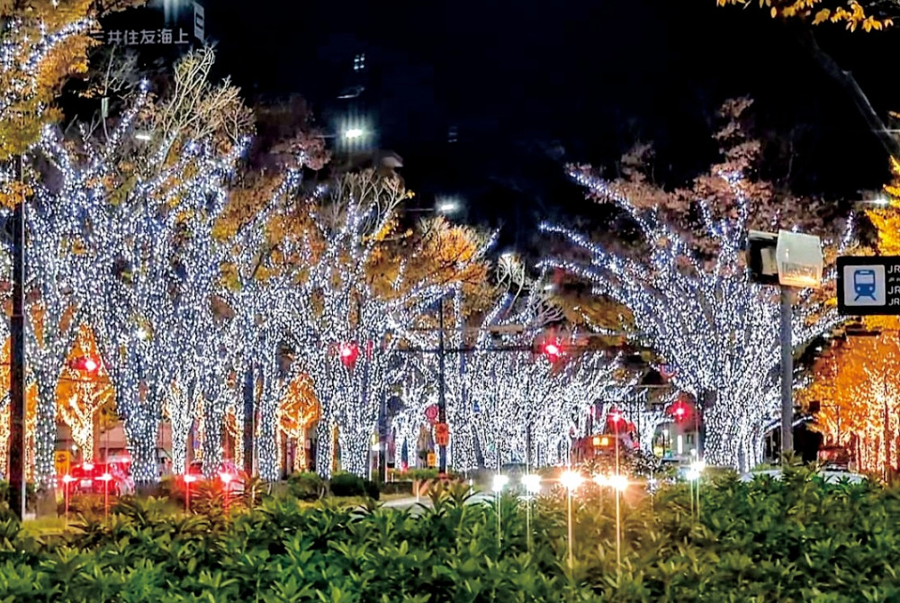 夜を彩るイルミネーションと星空
――秋冬の光のナイトスポット10選