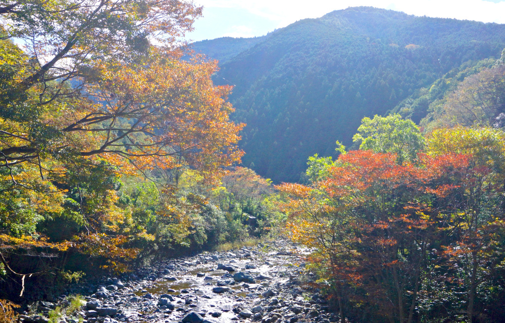 玉川峡