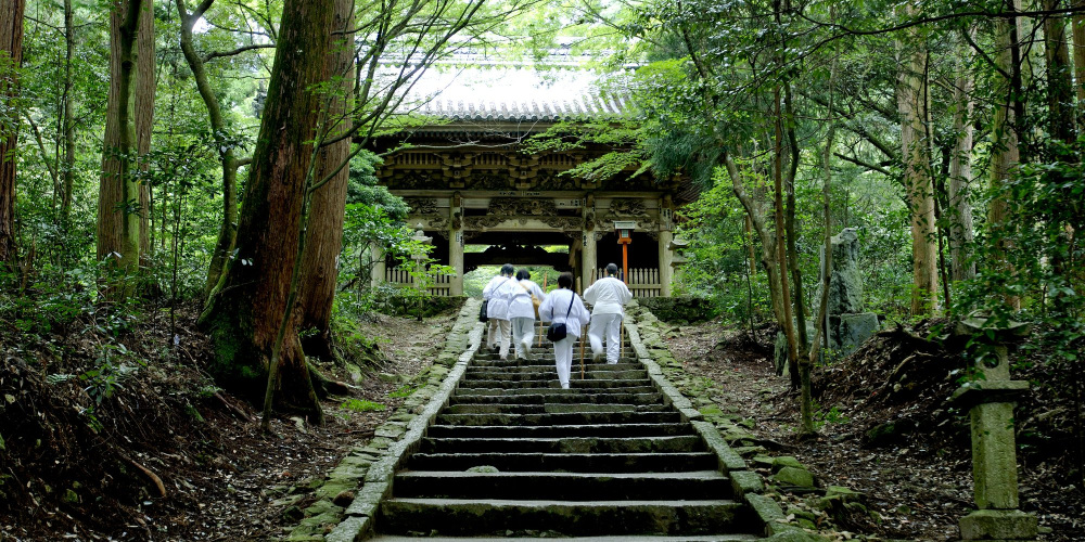高野山と四国遍路の意外な関係!?