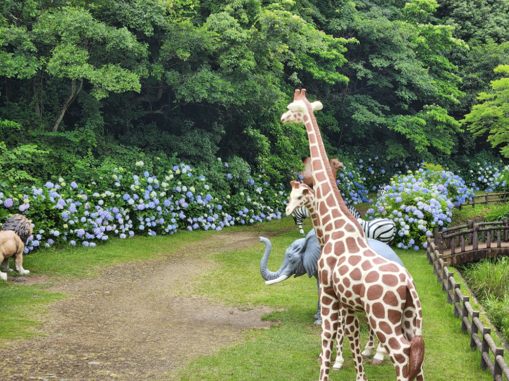 画像提供：和歌山市