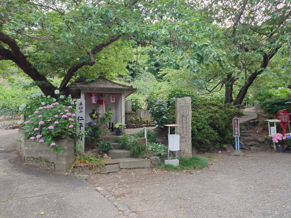 画像提供：有田市