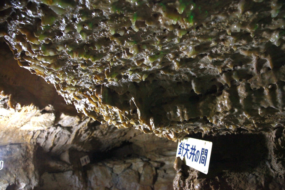 針天井の間