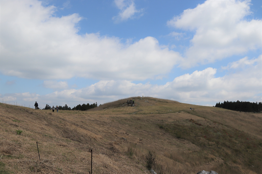 撮影日:2025年4月29日