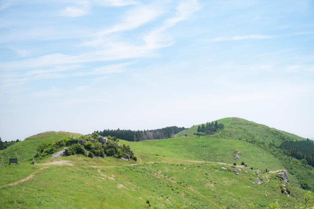 撮影日:2022年5月18日