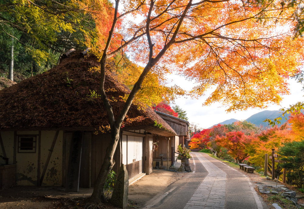 季節ごとに楽しみたいフォトスポット