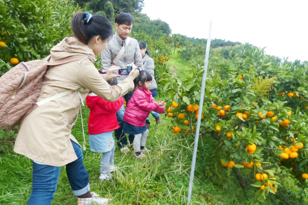 画像提供:観音山フルーツガーデン