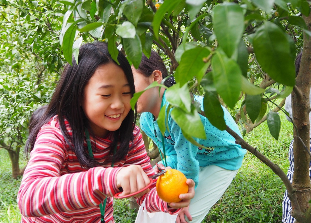 画像提供:秋津野ガルテン