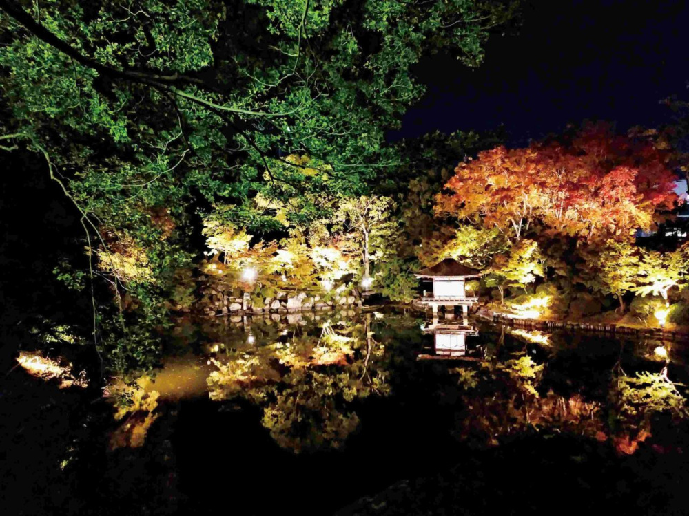 画像提供:和歌山城整備企画課