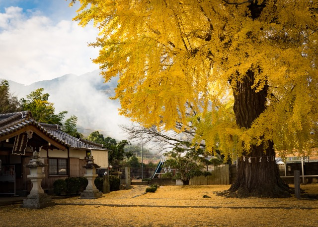 画像提供:かつらぎ町