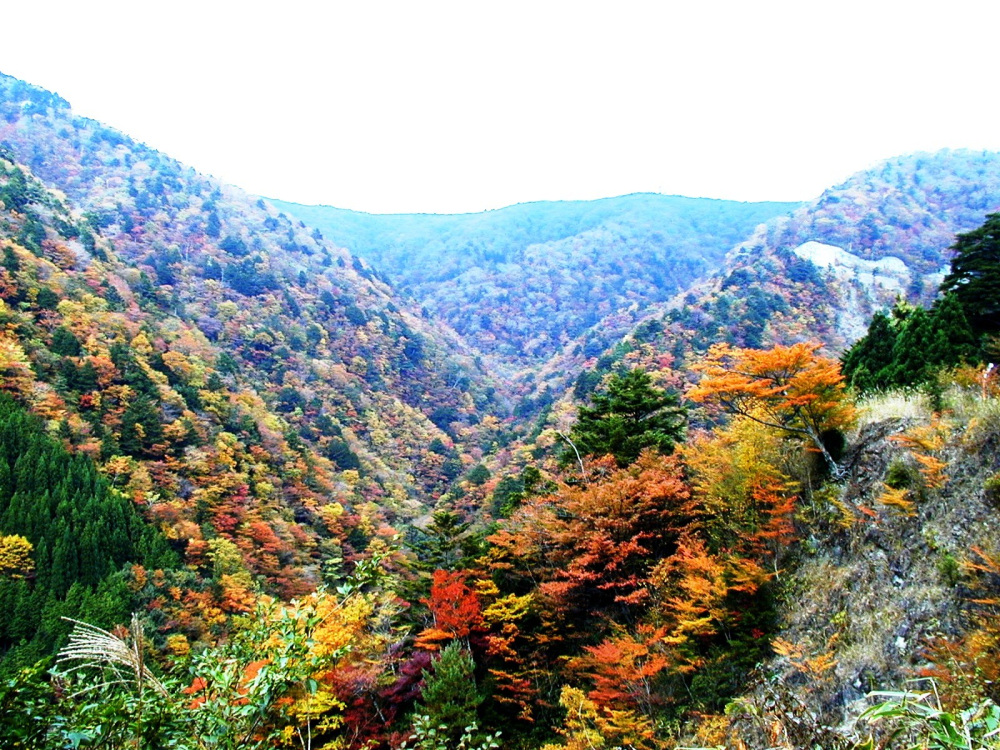 画像提供:龍神観光協会