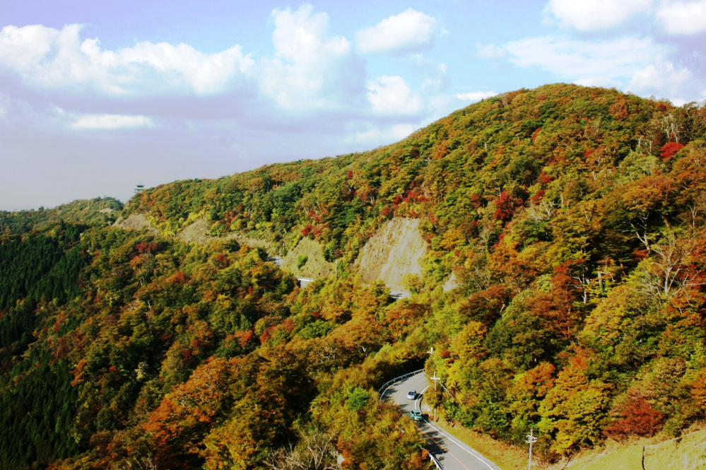 画像提供:龍神観光協会