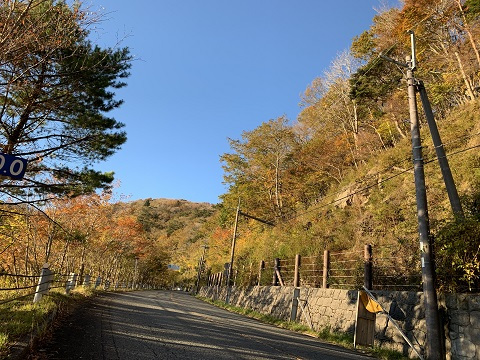 画像提供:龍神観光協会