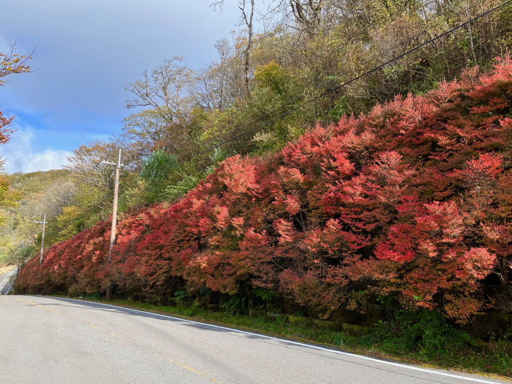 画像提供:龍神観光協会