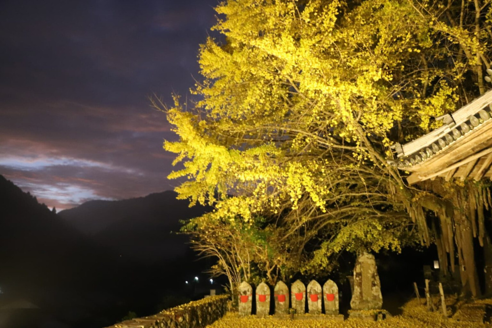 画像提供:古座川町観光協会