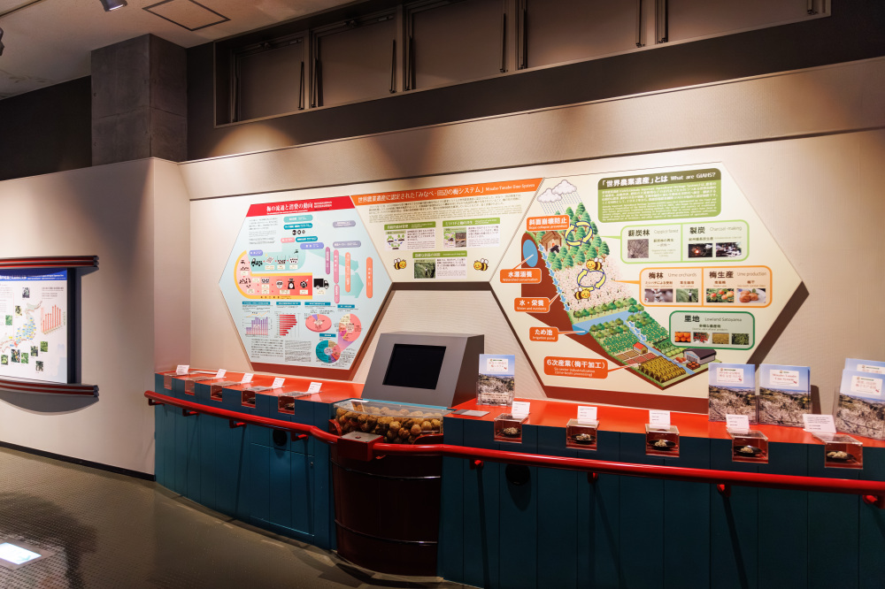 世界農業遺産に選ばれた「みなべ・田辺の梅システム」とは？