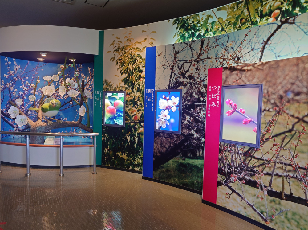 道の駅みなべうめ振興館