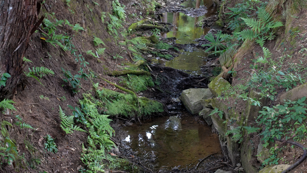 境内を流れる小川「禊川」。
