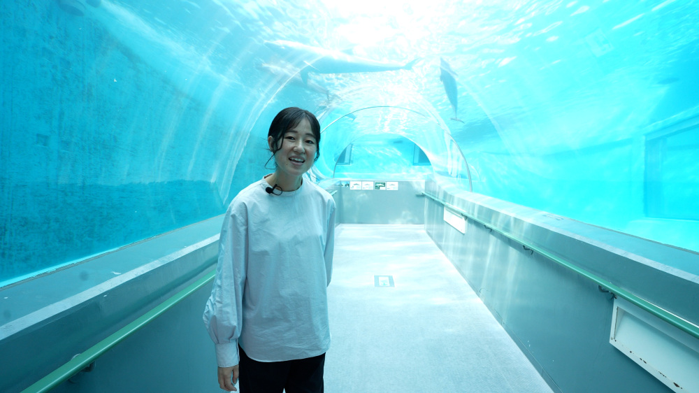 海の中を歩くような感覚を味わえる、幻想的なトンネル水槽。