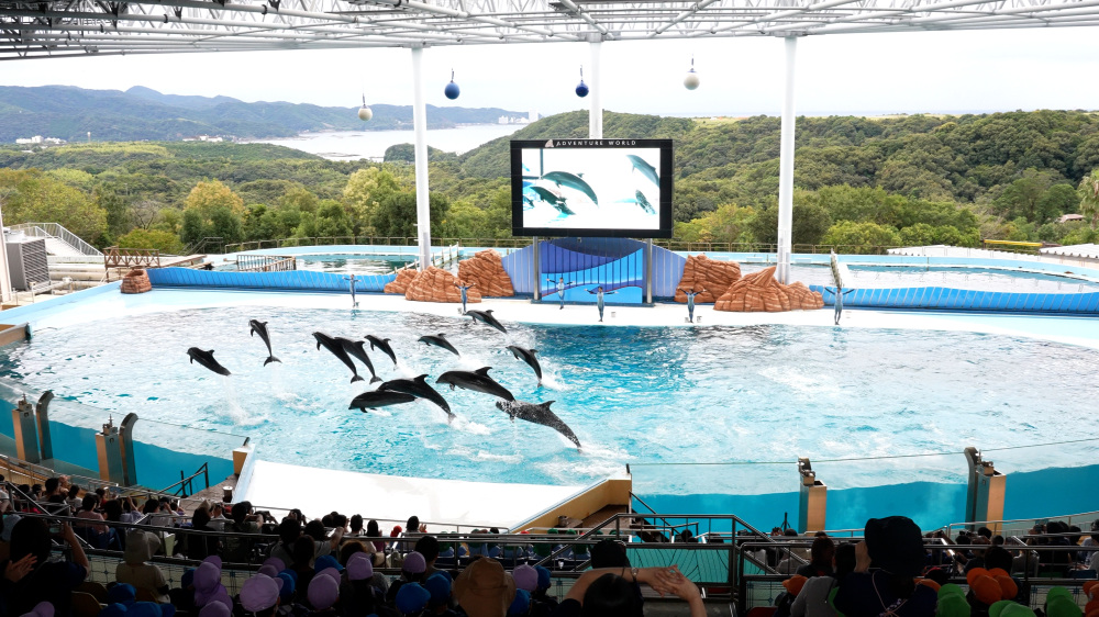 大迫力のショーが楽しめるメインステージ。イルカとトレーナーの息の合ったパフォーマンス。