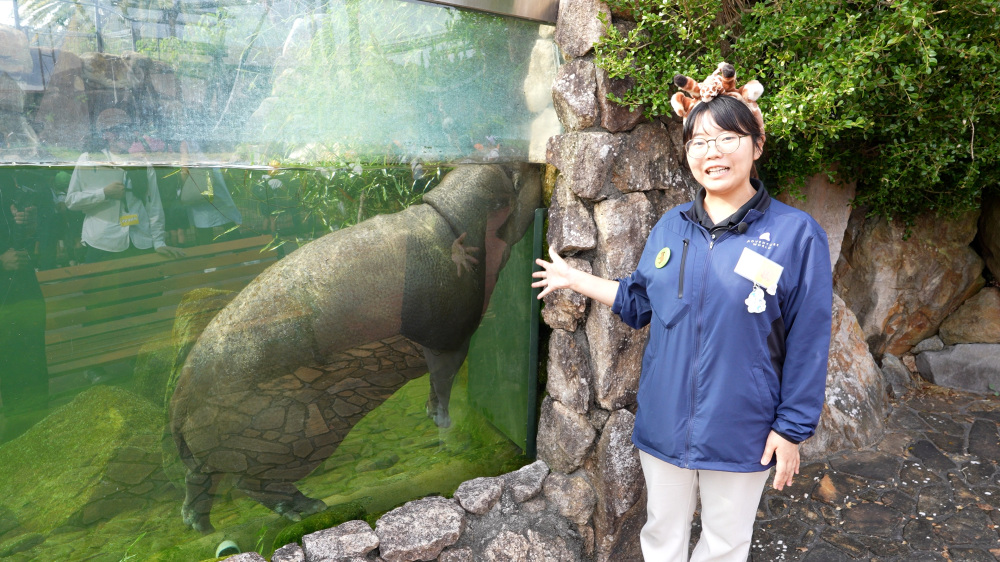 世界でも珍しいミニカバ。寝顔がほっこりするかわいさ。