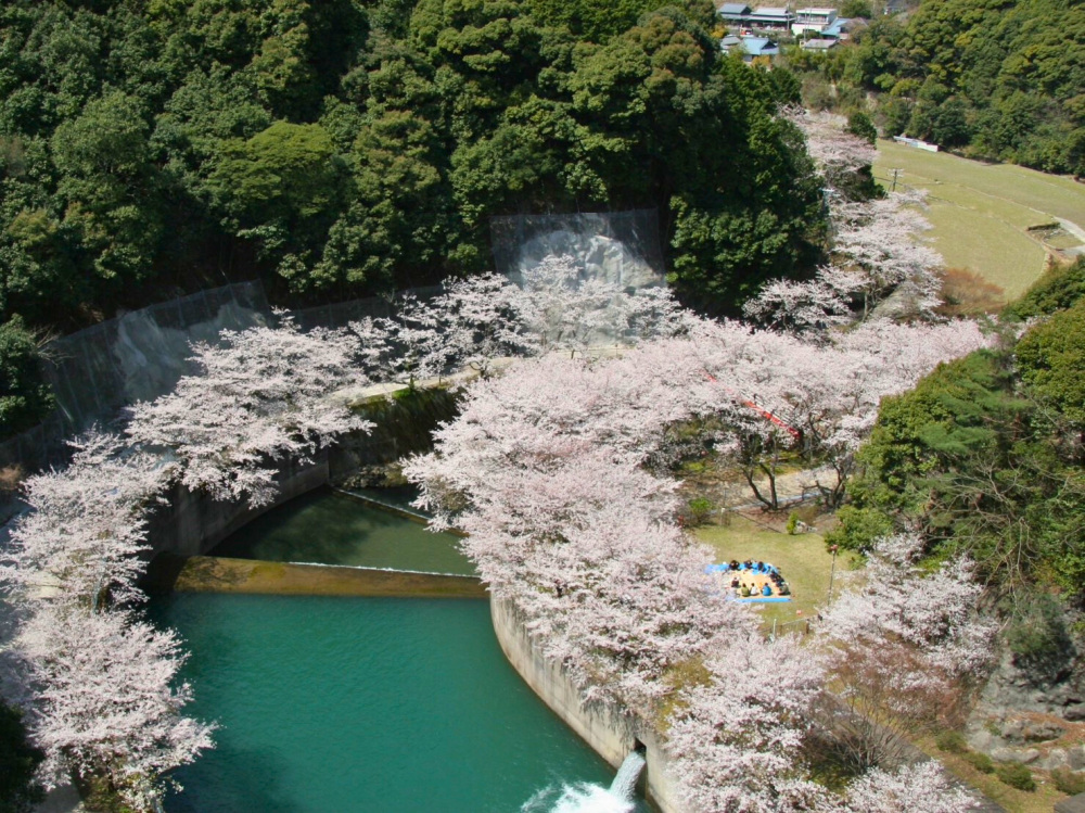 写真提供：有田振興局