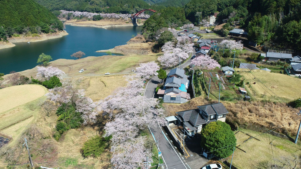 写真提供：古座川町