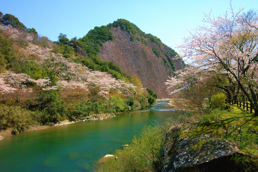 写真提供：古座川町