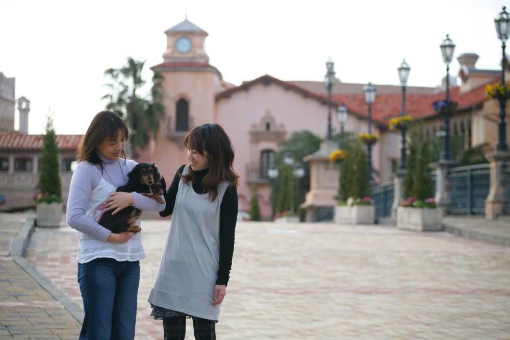 入園無料！ ペット同伴OKのテーマパーク「ポルトヨーロッパ」