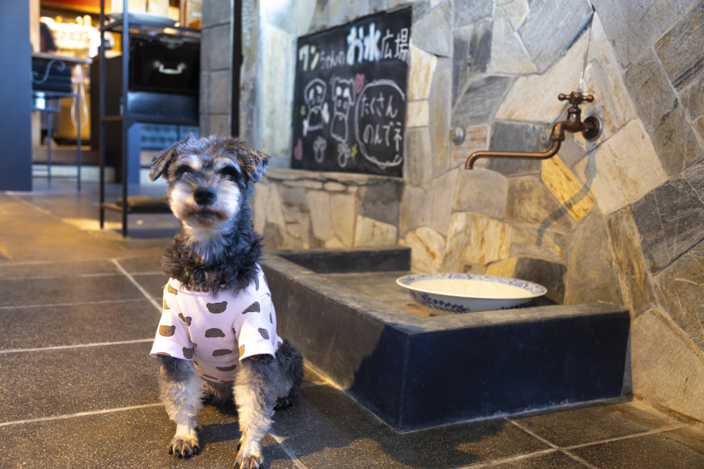 80 ESPRESSO WAKAURABASE