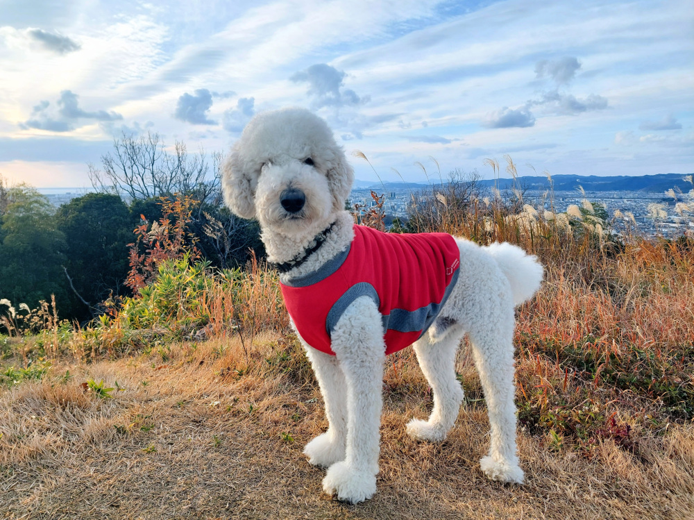 紀伊風土記の丘