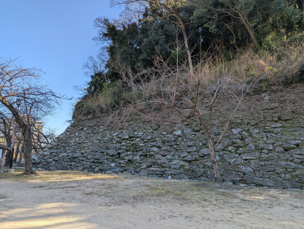 和歌山城が築かれた「虎伏山(とらふすやま)」で見られる石垣は、秀吉・秀長の時代に積まれたもの。野面積みの野趣あふれる雰囲気が“戦う城”としての逞しさを示す