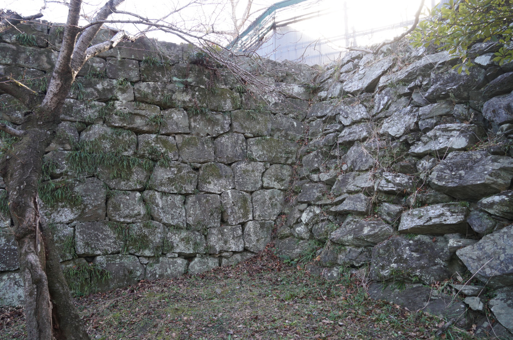 右手前が豊臣時代の野面積み、左が徳川時代の「打ち込みハギ」という技法の石垣。野面積みを抑え込むように取り付けられている