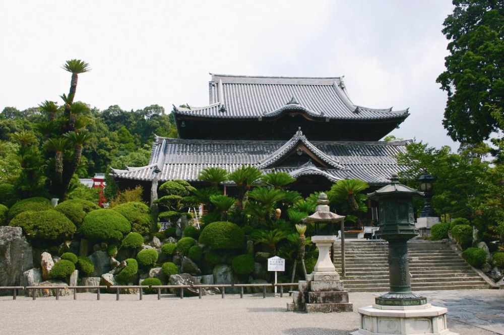 開創は奈良時代末期。人々の信仰を受けて繁栄したが秀吉による紀州攻めで堂塔や伽藍、寺宝などを焼失した。紀州徳川家のもと復興。桜の名所としても有名